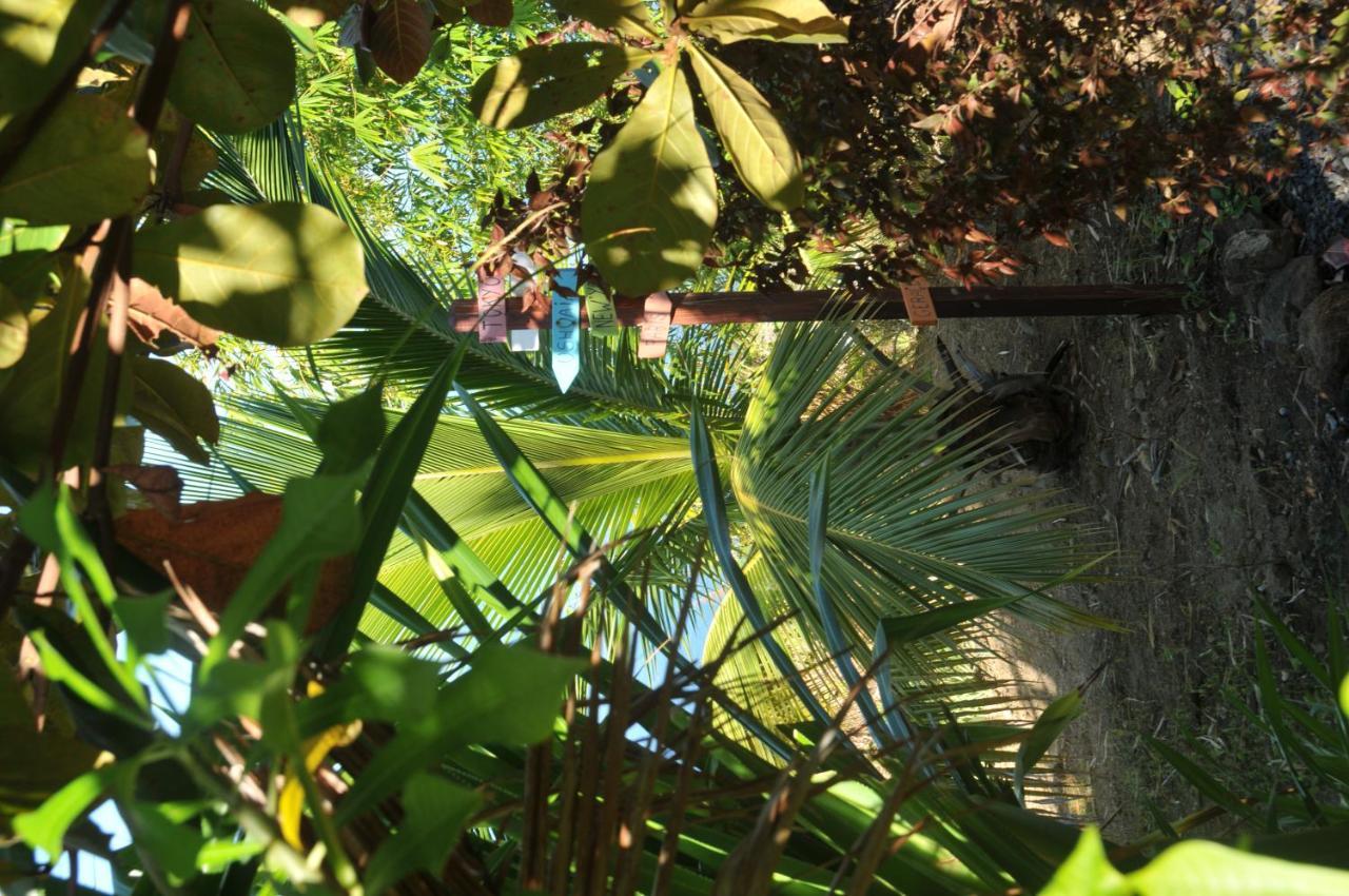 Mango Island Lodges Saint Joseph Exterior photo